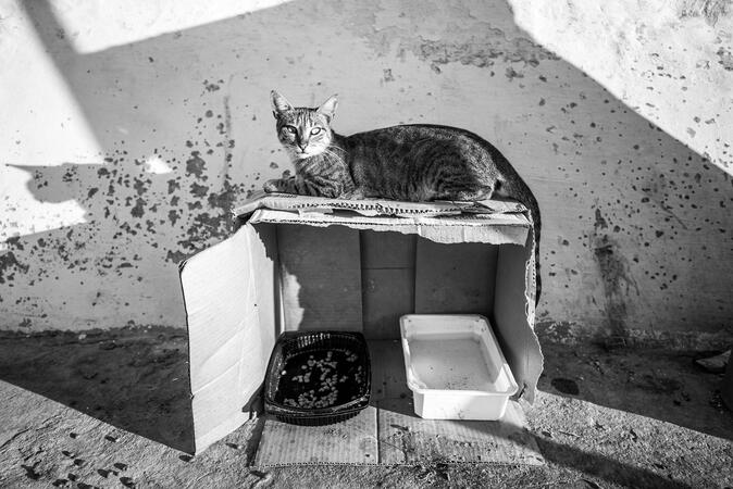 Untitled Untitled